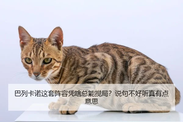ba-lie-ka-nuo-zhe-tao-zhen-rong-ping-sha-zong-neng-jiao-ju-shuo-ju-bu-hao-ting-zhen-you-dian-yi-si-2-615.jpg