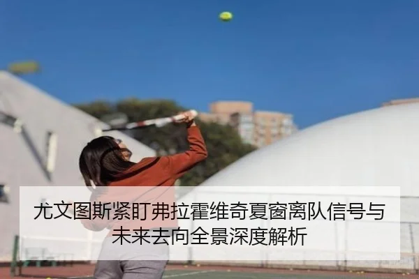 尤文图斯紧盯弗拉霍维奇夏窗离队信号与未来去向全景深度解析